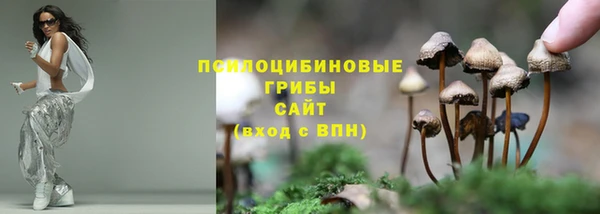 тгк Пролетарск
