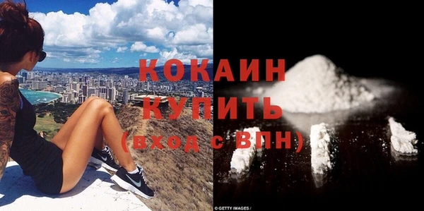 винт Верея