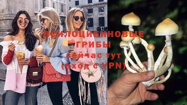 ПСИЛОЦИБИНОВЫЕ ГРИБЫ Протвино