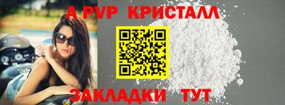 стаф Тара