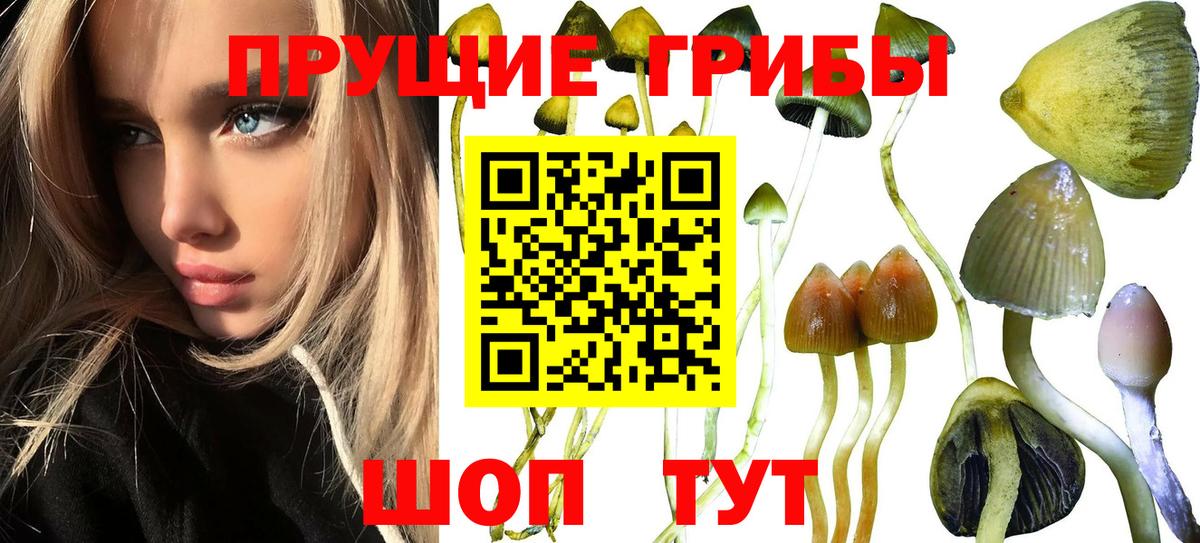 Псилоцибиновые грибы Psilocybe  сколько стоит  Рыбинск  Вход с VPN  Псилоцибиновые грибы GOLDEN TEACHER 